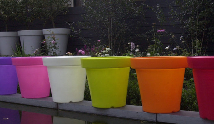 Bloom-Pot-40-60-90-100-farbig